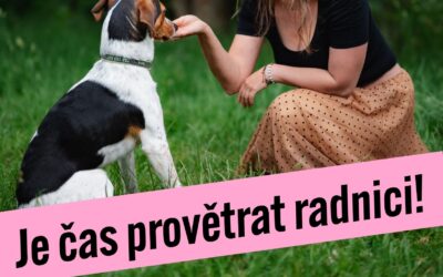 Čtyři mladé tváře. Je čas provětrat radnici!